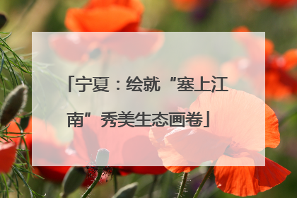 宁夏：绘就“塞上江南”秀美生态画卷