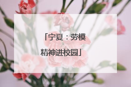 宁夏：劳模精神进校园