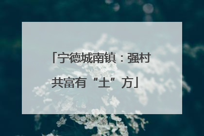 宁德城南镇：强村共富有“土”方