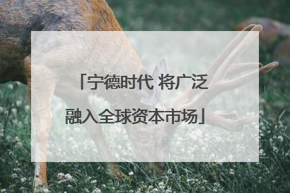 宁德时代 将广泛融入全球资本市场