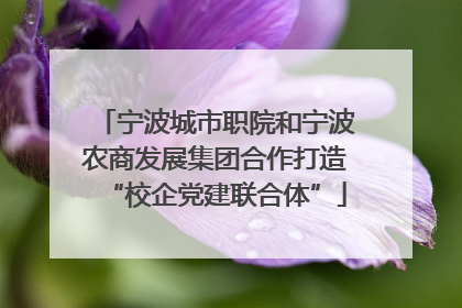 宁波城市职院和宁波农商发展集团合作打造“校企党建联合体”