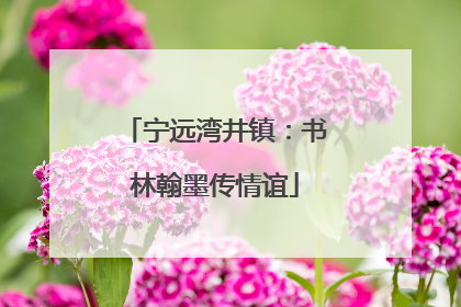 宁远湾井镇：书林翰墨传情谊
