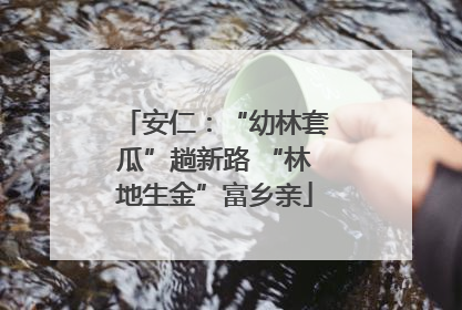安仁：“幼林套瓜”趟新路 “林地生金”富乡亲