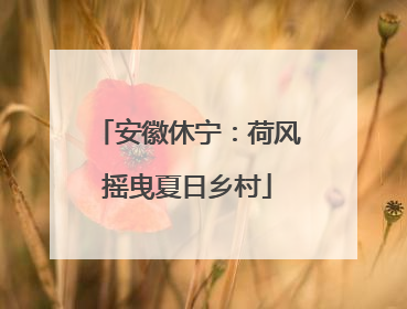 安徽休宁：荷风摇曳夏日乡村