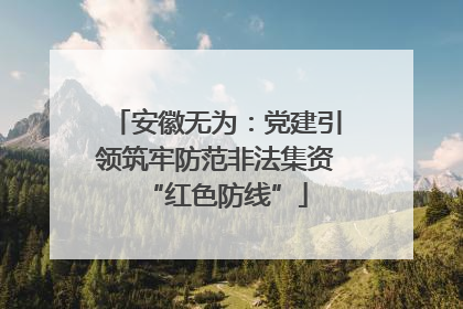 安徽无为：党建引领筑牢防范非法集资“红色防线”