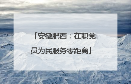 安徽肥西：在职党员为民服务零距离
