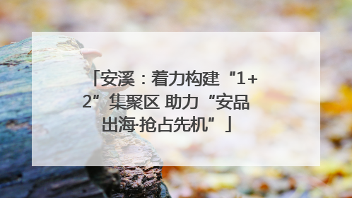 安溪：着力构建“1+2”集聚区 助力“安品出海·抢占先机”