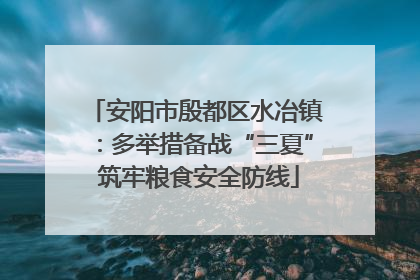 安阳市殷都区水冶镇：多举措备战“三夏” 筑牢粮食安全防线