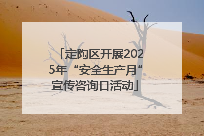 定陶区开展2025年“安全生产月”宣传咨询日活动
