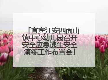 宜宾江安四面山镇中心幼儿园召开安全应急逃生安全演练工作布置会