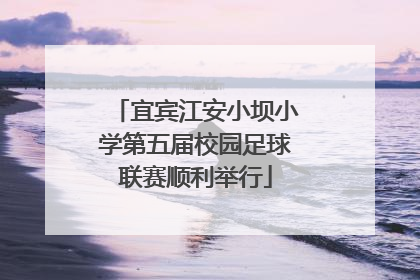 宜宾江安小坝小学第五届校园足球联赛顺利举行