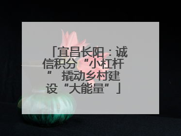 宜昌长阳：诚信积分“小杠杆” 撬动乡村建设“大能量”