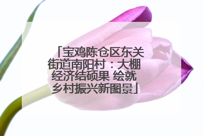 宝鸡陈仓区东关街道南阳村：大棚经济结硕果 绘就乡村振兴新图景