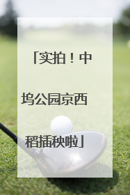 实拍！中坞公园京西稻插秧啦