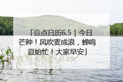 壹点日历6.5｜今日芒种！风吹麦成浪，蝉鸣夏始忙！大家早安