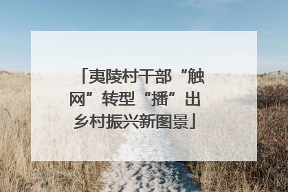 夷陵村干部“触网”转型“播”出乡村振兴新图景
