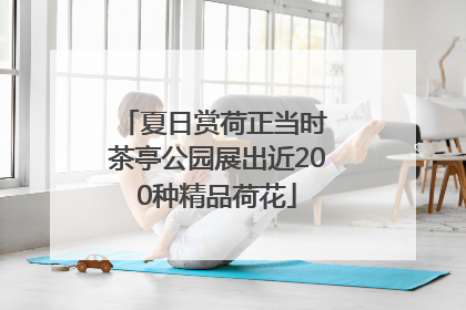 夏日赏荷正当时 茶亭公园展出近200种精品荷花