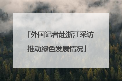 外国记者赴浙江采访推动绿色发展情况