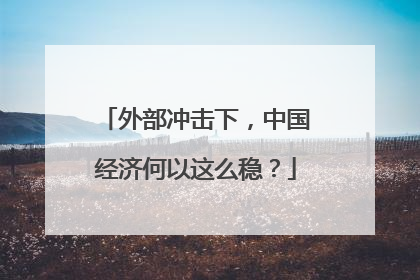 外部冲击下，中国经济何以这么稳？