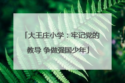 大王庄小学：牢记党的教导 争做强国少年