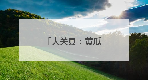 大关县：黄瓜触网销路宽