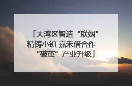 大湾区智造“联姻”精铸小镇 嘉禾借合作“破茧”产业升级