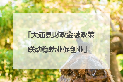 大通县财政金融政策联动稳就业促创业