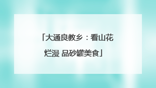 大通良教乡：看山花烂漫 品砂罐美食