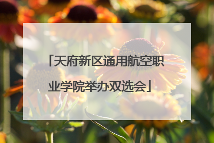 天府新区通用航空职业学院举办双选会