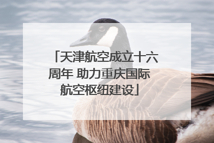 天津航空成立十六周年 助力重庆国际航空枢纽建设