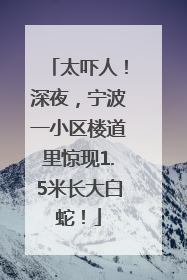 太吓人！深夜，宁波一小区楼道里惊现1.5米长大白蛇！