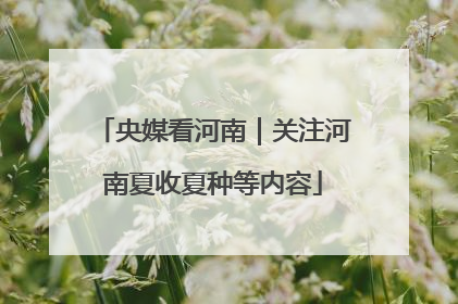 央媒看河南｜关注河南夏收夏种等内容