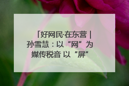 好网民·在东营｜孙雪慧：以“网”为媒传税音 以“屏”为介助发展