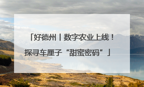 好德州丨数字农业上线！探寻车厘子“甜蜜密码”