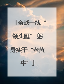 奋战一线“领头雁” 躬身实干“老黄牛”
