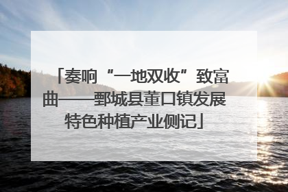 奏响“一地双收”致富曲——鄄城县董口镇发展特色种植产业侧记