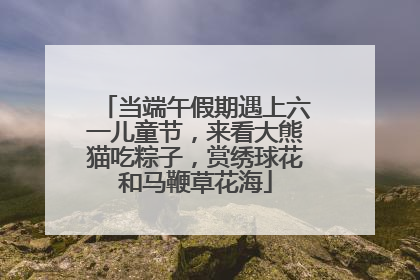 当端午假期遇上六一儿童节，来看大熊猫吃粽子，赏绣球花和马鞭草花海