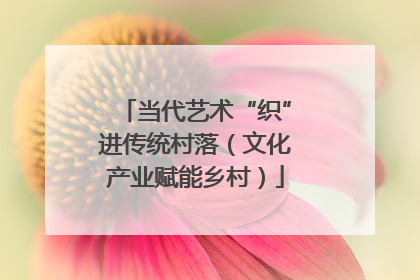 当代艺术“织”进传统村落（文化产业赋能乡村）
