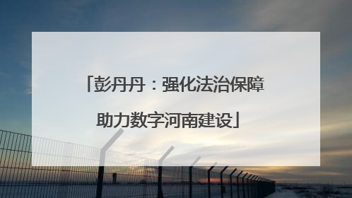 彭丹丹：强化法治保障 助力数字河南建设