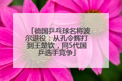 德国乒乓球名将波尔退役：从孔令辉打到王楚钦，同5代国乒选手竞争