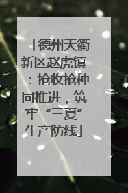 德州天衢新区赵虎镇：抢收抢种同推进，筑牢“三夏”生产防线