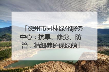 德州市园林绿化服务中心：抗旱、修剪、防治，精细养护保绿荫