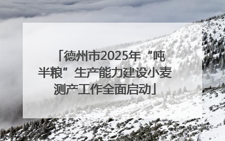 德州市2025年“吨半粮”生产能力建设小麦测产工作全面启动