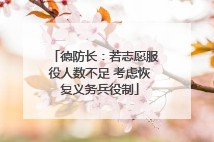德防长：若志愿服役人数不足 考虑恢复义务兵役制
