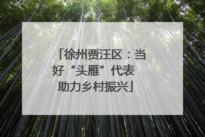 徐州贾汪区：当好“头雁”代表 助力乡村振兴