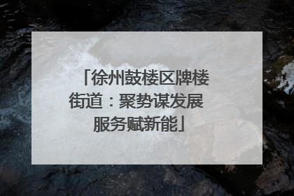 徐州鼓楼区牌楼街道：聚势谋发展 服务赋新能