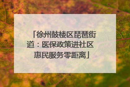 徐州鼓楼区琵琶街道：医保政策进社区 惠民服务零距离