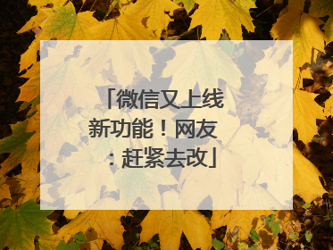 微信又上线新功能！网友：赶紧去改