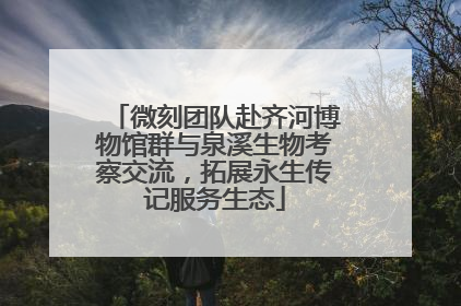 微刻团队赴齐河博物馆群与泉溪生物考察交流，拓展永生传记服务生态