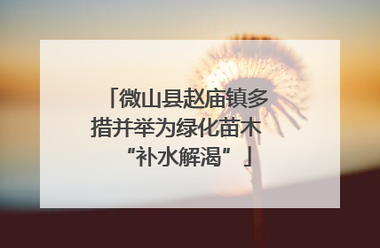 微山县赵庙镇多措并举为绿化苗木“补水解渴”